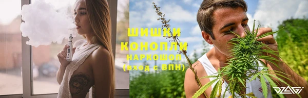 ПСИЛОЦИБИНОВЫЕ ГРИБЫ Вяземский