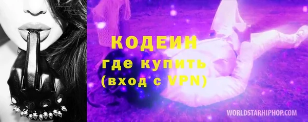 ПСИЛОЦИБИНОВЫЕ ГРИБЫ Вяземский