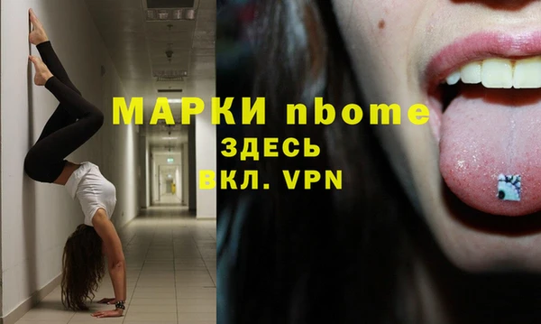 ПСИЛОЦИБИНОВЫЕ ГРИБЫ Вяземский