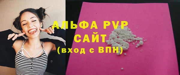 ПСИЛОЦИБИНОВЫЕ ГРИБЫ Вяземский