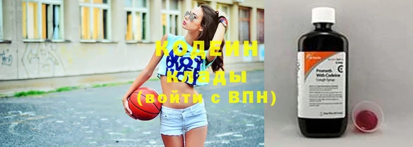 ПСИЛОЦИБИНОВЫЕ ГРИБЫ Вяземский