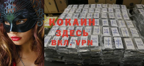 индика Вязники