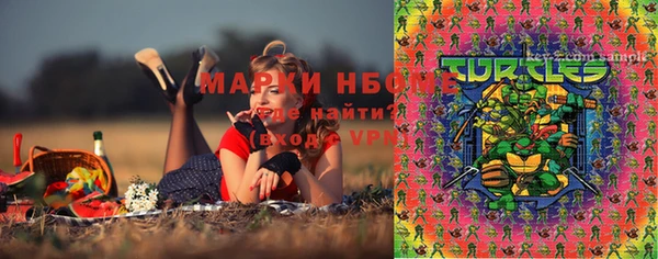 ПСИЛОЦИБИНОВЫЕ ГРИБЫ Вяземский