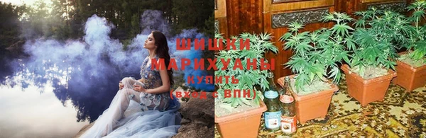 каннабис Вязьма
