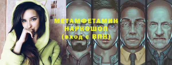 ПСИЛОЦИБИНОВЫЕ ГРИБЫ Вяземский